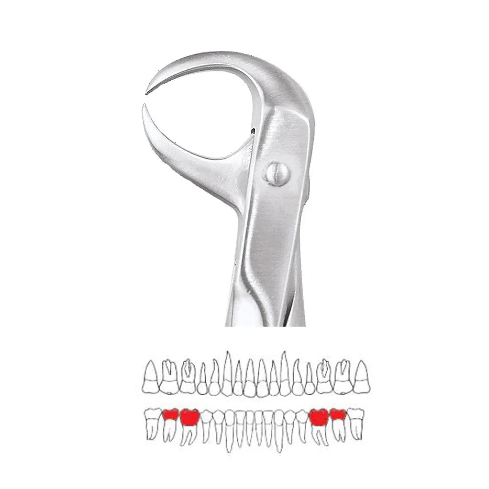 GDC Extraction Forceps Lower Molars - 86 Premium (FX86P)